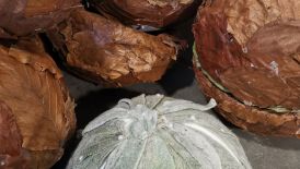 BFS 1: Texturarbeiten mit Laubblättern